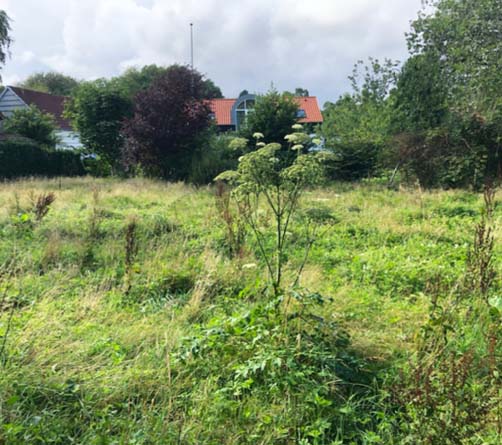 DN Odders bemærkninger til Biodiversitetsplanen 2020
